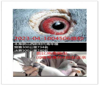 ɽ����ʱ�����������740���Ǳ�����Ž���