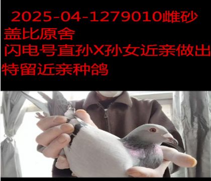 �Ǳ�ԭ�������ֱ��X��Ů��������