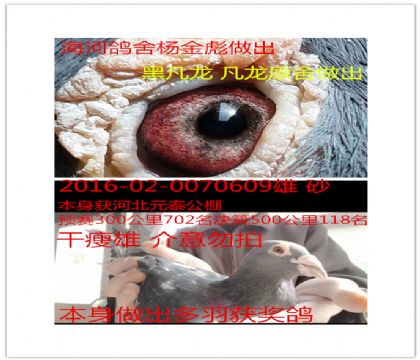 ��򺣺�����ӱ�Ԫ̩����118���ڷ���