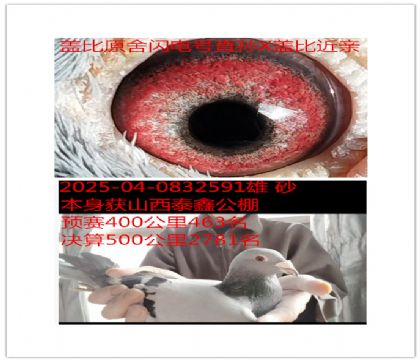 ɽ��̩�ι��������Ǳ�����Ž���