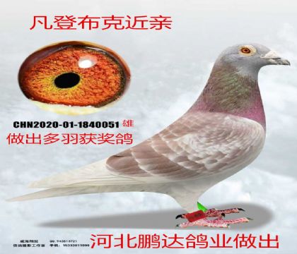 ���ǲ���Ư���칫X��������������