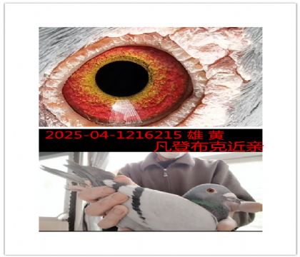 ���ǲ�����ɯ����