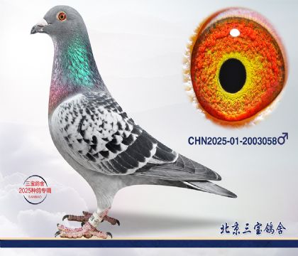 3.����x����Ѫϵ.2003058