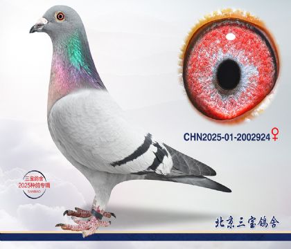 2.�ٰ�����Ѫ.2002924