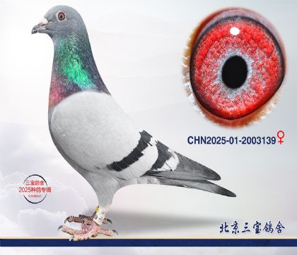 14.����396��Ѫ.2003139q