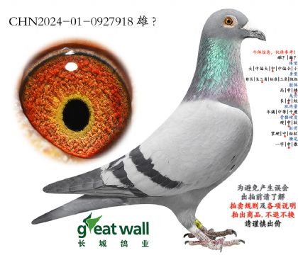 2.�ƽ�����901���.0927918