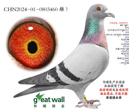 3.�����������.0803460