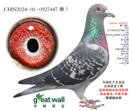 4.ŭ�����.0927447