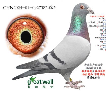 6.��������ŷ��Ѫ.0927382