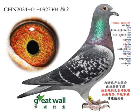 5.���������������.0927304