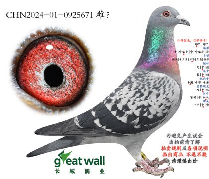 7.���������.0925671