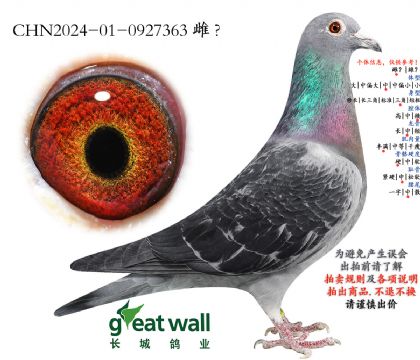 10.�װ����.0927363