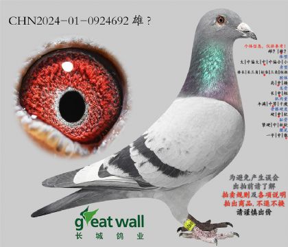 12.�ƽ��������.0924692