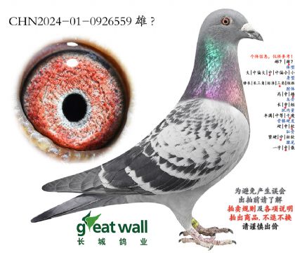 11.����Ѫϵ.0926559