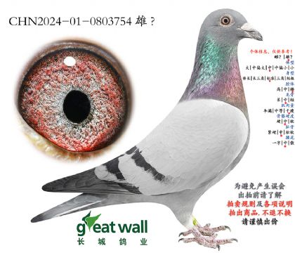 13.��ѻ��ض�x�ƽ�����.0803754