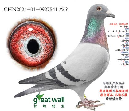 15.ͼ��˹003���.0927541