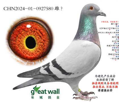 14.����ȫ��017���.0927580