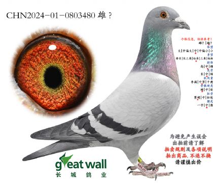 17.�߶��ϱ�ʱ���Ӵ�.0803480