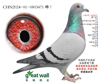 19.ͼ��˹x��ȱ��.0803471