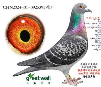 18.����һ�����.0925391