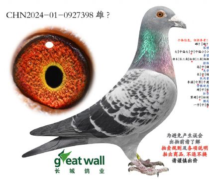 20.�¿��������.0927398