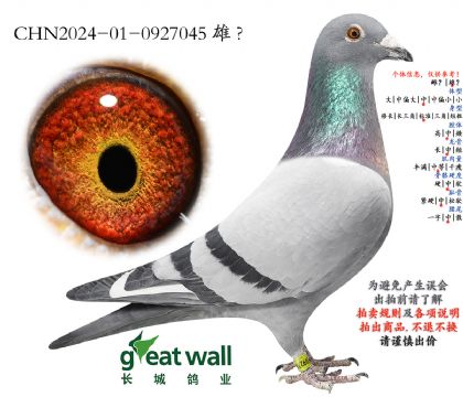 1.���º����.0927045