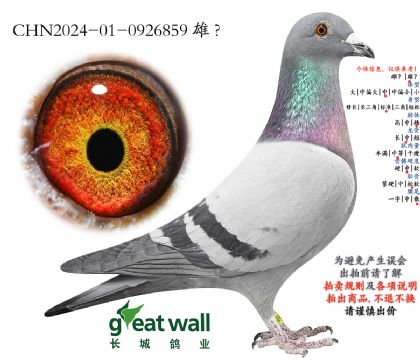 2.����ҫ�����.0926859