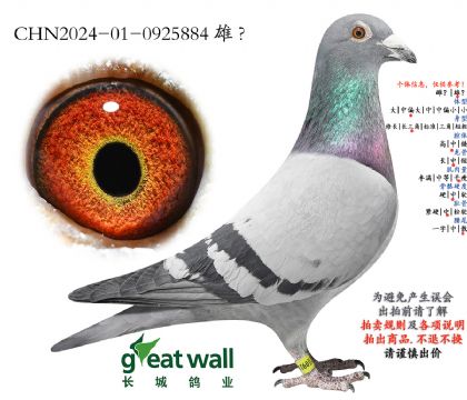 5.�������.0925884