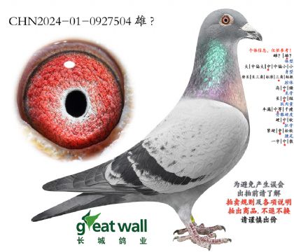 6.�������.0927504