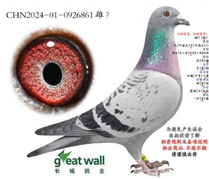 8.�ƽ��������.0926861