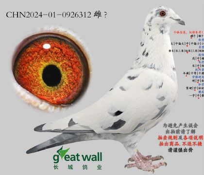 7.������900���.0926312