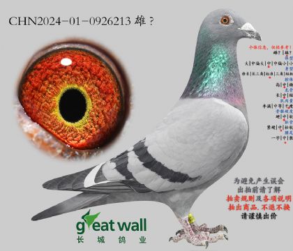 9.����x����Ѫϵ.092621