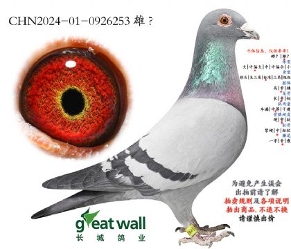 10.ͼ��˹003���.0926253