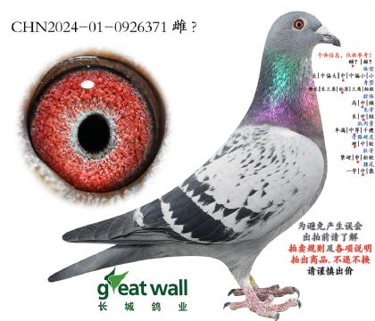 12.��������7��ȫƽ��.0926371