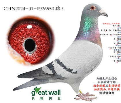 11.����Ѫϵ.0926550