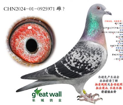 14.���������ھ��Ӵ�.0925971