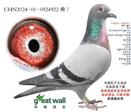 13.��ʱ��911���.0924922