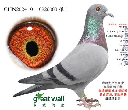 16.���ҿ¶���Ѫ.0926083