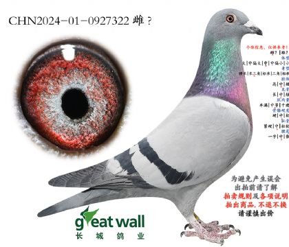 15.ͼ��˹003���.0927322