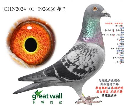 18.ղ��˹801���.0926636