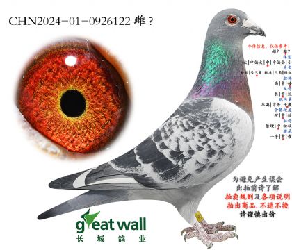 17.��ѻ��ض���Ѫ.0926122