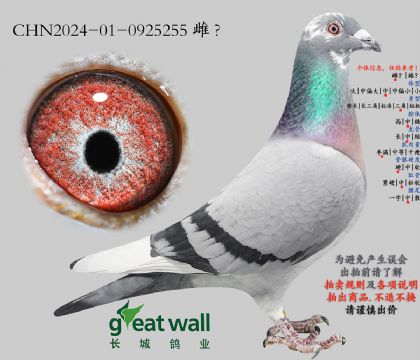 20.������35���.0925255