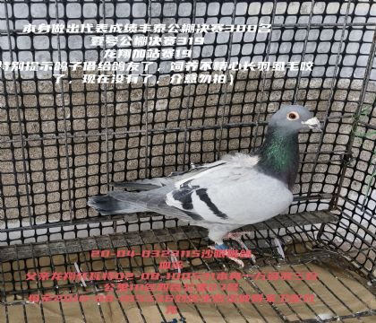 3����ɼ��븸������������?����������