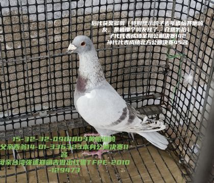 ���𽱸븸���̾���11����̨��ǿ�ٺ��