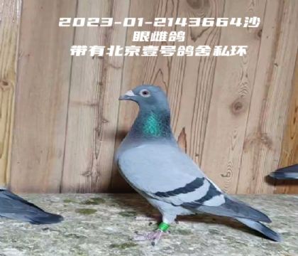 ����Ҽ�Ÿ���˽��