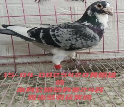 ����������24��