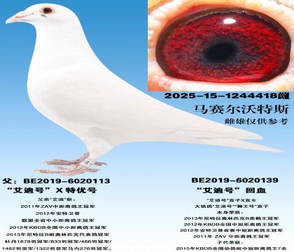 �����Ϻš�X���źŻ�Ѫ