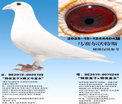 ����ֱ��x����ֱŮ