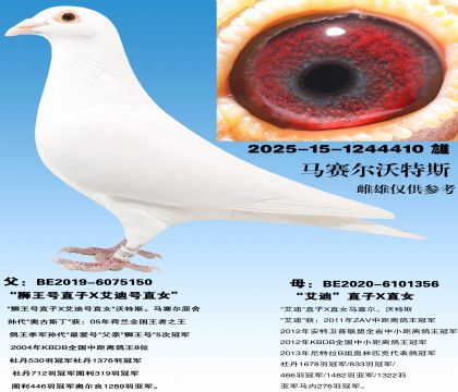 ʨ����ֱ��X���Ϻ�ֱŮ