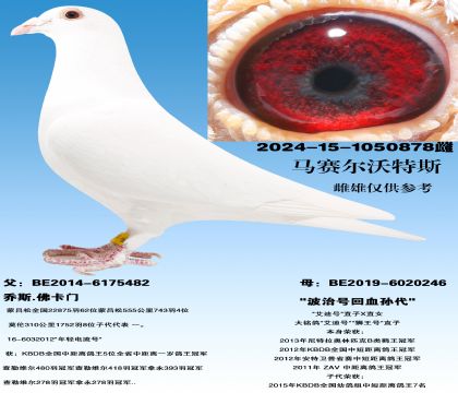 ���ź�ֱ��Ů